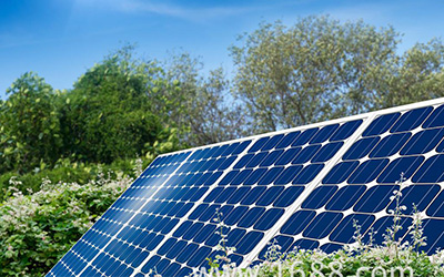 كيفية حماية الطاقة الشمسية من هجوم طبيعي